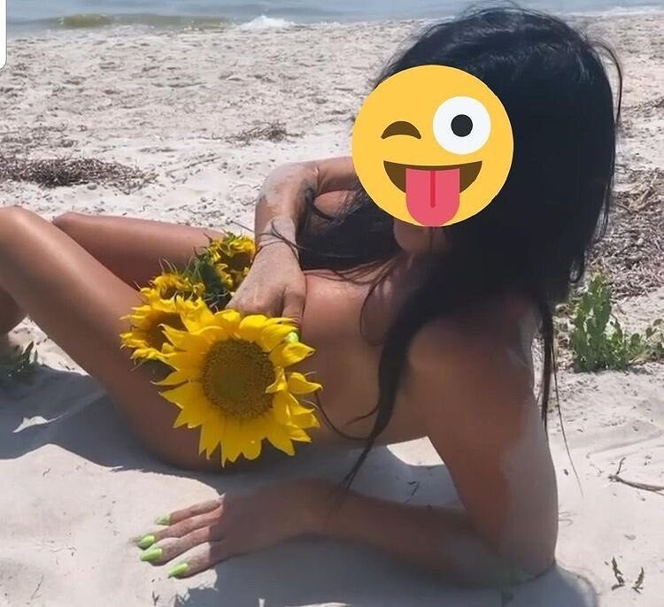 ויקה- באזור חיפה